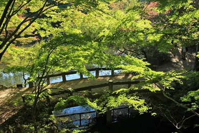 Scenery Images: Beautiful Scenery Pictures Japan