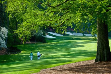 Vassallo: Augusta National Driven To Perfection