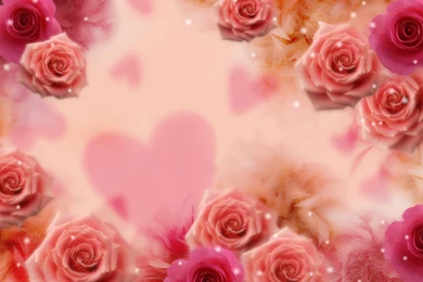 Wallpapers Sweet Roses Nature Red Rose Pixel Hd Iwallscreen ...