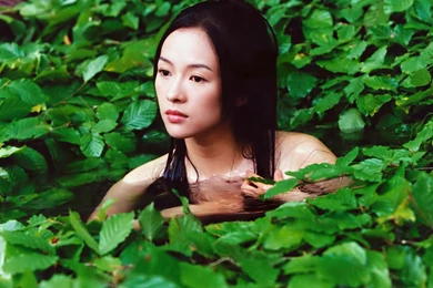 Download Ziyi Zhang Wallpapers 1280x1024