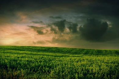 High Resolution Wallpapers, Beautiful Green Grass Field, Great ...
