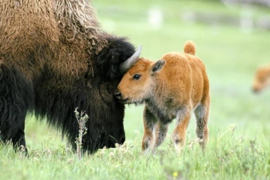 Admin – Page 508 – BUZZERG