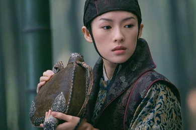 Ziyi Zhang Photo, Pics, Wallpapers   Photo