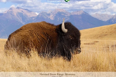 Photo Of The Month January2012