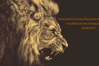 Alexander The Great Quotes On War. QuotesGram