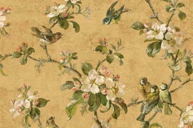 Cream Green Birds Of Versailles QE58321 Wallpapers   Interior Home ...