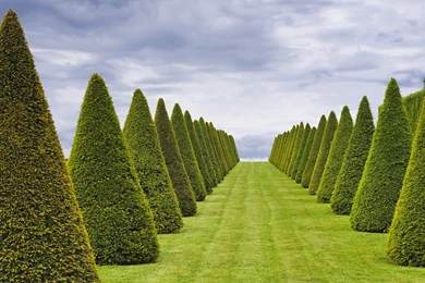 Download France Versailles Wallpapers 1920x1080