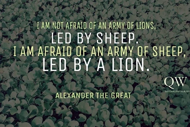 Alexander The Great Hd Wallpapers