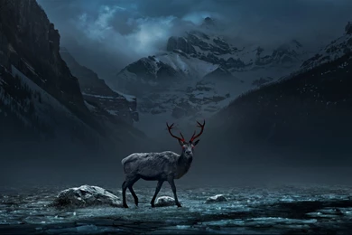 3D Mountain And Deer Wallpapers