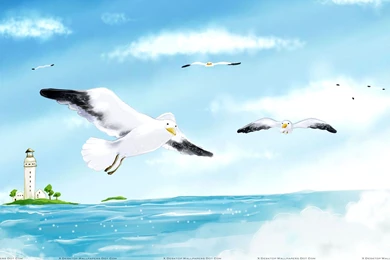 Flying Birds Wallpapers, Photos & Images In HD