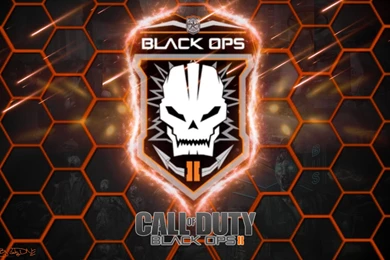 Epic Black Ops 2 Desktop Wallpaper/Backgrounds By LuckyDesignz On ...