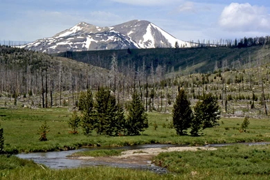 Hadley Ives Desktops