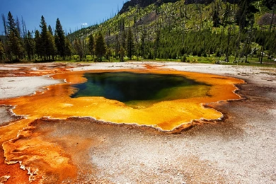 Yellowstone National Park Geyser Desktop Wallpapers Hd ...