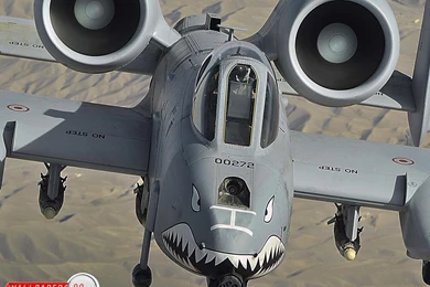 A 10 Warthog Wallpapers Picture Image 1400x1050 17688