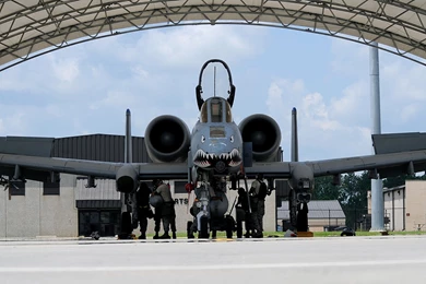 A 10 Bomber Jet Fighter Bomb Military Airplane Plane Thunderbolt ...