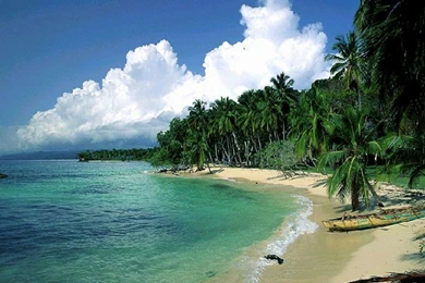 Desktop Wallpapers » Natural Backgrounds » Beach Trees Green Water ...