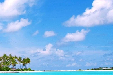 Perfect Beach Natural Galaxy S5 Wallpapers 385