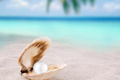 Beautiful Pearl Beach HD Wallpapers   New HD Wallpapers