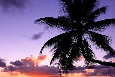 Perfect Beach Natural Galaxy S5 Wallpapers 334