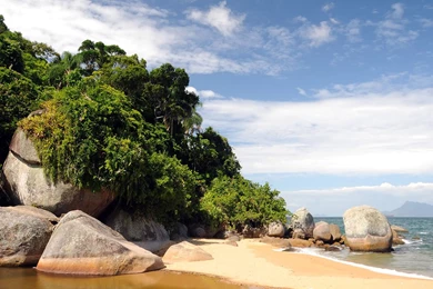 Wallpapers Tottenham I Rany Mukherjee Semok Beautiful Natural ...