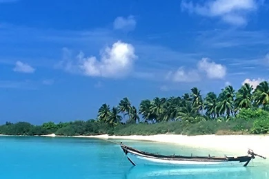 Perfect Beach Natural Galaxy S5 Wallpapers 380