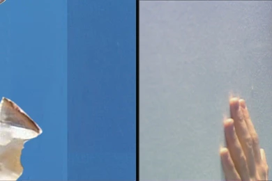 Dual Monitor Desktop Wallpapers (Giraffe > Rose)   Imgur