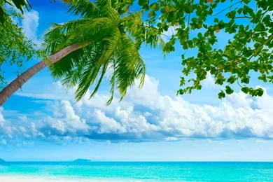 Description The Wallpapers Above Is Tropical Island Panorama ...