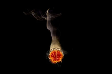 All New Pix1: Hd Wallpapers Weed