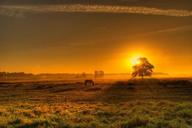 Sunset Countryside Backgrounds Picture Wallpaper, Size: 1920x1200 ...