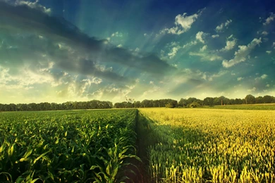 11800 Countryside Fields 1920x1080 Nature Wallpapers