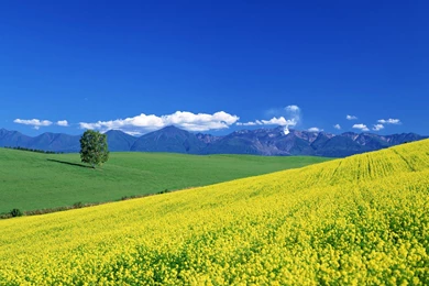 HD Countryside Wallpapers And Photos