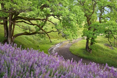 Countryside, Widescreen, Full, Hd, Wallpaper, Free, Hd Images ...