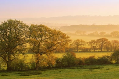 Wallpapers English Countryside Free Hd Trees In The Dusk X ...