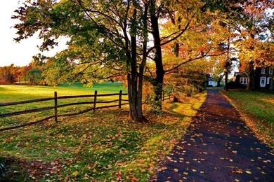 Autumn In Countryside Wallpapers