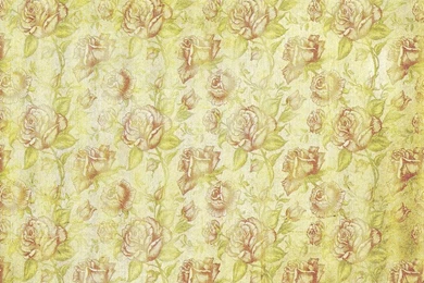 Amazing Old Roses Wallpapers