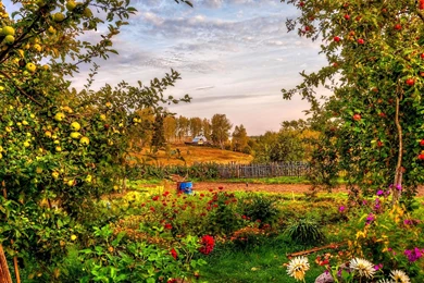 Countryside Garden >> HD Wallpaper, Get It Now!