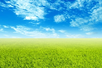 Blue Sky Grass fresh And Pleasant Countryside   1600x1200 ...