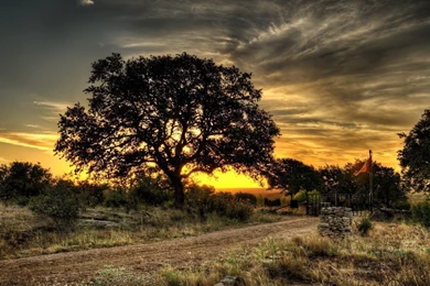 Wallpapers Sky Night Road Nature Gate Tree Dusk Countryside ...