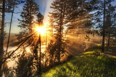 Countryside Wallpapers