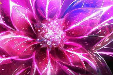 Neon Flowers Live Wallpapers   Android Apps On Google Play
