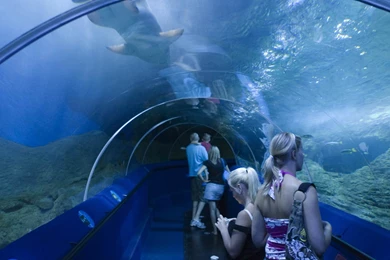 Lonely Planet Australia 32 Free Wallpapers   Hivewallpaper.com