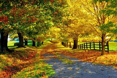 Autumn Beautiful Wallpapers