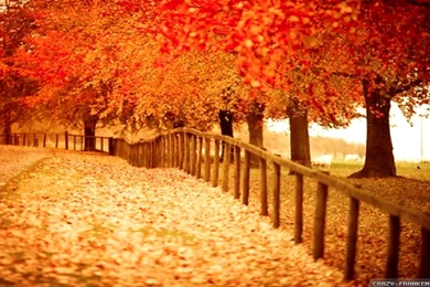 Beautiful Autumn Wallpapers 2   Seasonal   Crazy Frankenstein