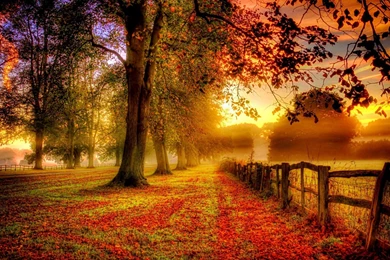 Beautiful Autumn Garden Wallpapers