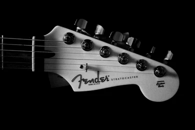 Fender
