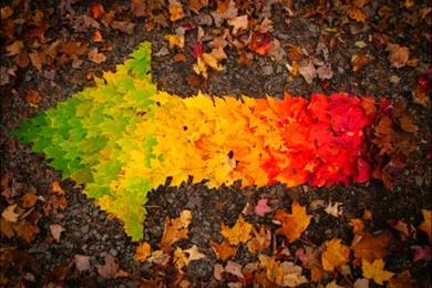 Beautiful Autumn Autumn