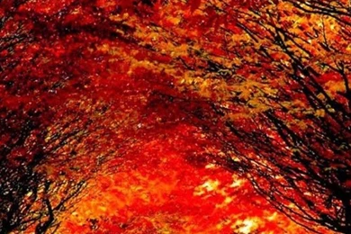 Nature Moto G Wallpapers HD 84, Moto Wallpapers, Motorola Wallpapers