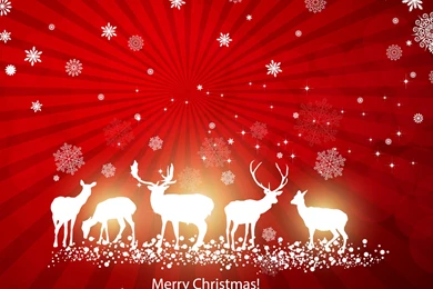 Merry Christmas Free Wallpapers 27975 HD Wallpapers
