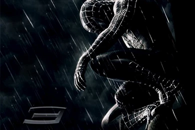 Wallpapers Spider Man Black Beautiful Windows 1024x768