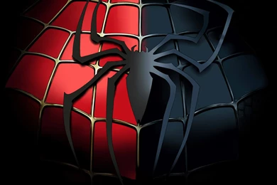Black Spiderman Wallpaper Backgrounds With HD Wallpapers   Kemecer.com